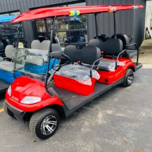 2021 Advanced EV AEV For Sale