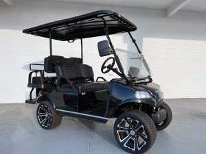 Black Out Evolution Classic 4 Plus Golf Cart For Sale Now At  Woodybuttsautomotive.us