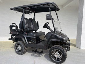 Black Out Evolution D5 Maverick 2+2 Golf Cart For Sale Now At  Woodybuttsautomotive.us